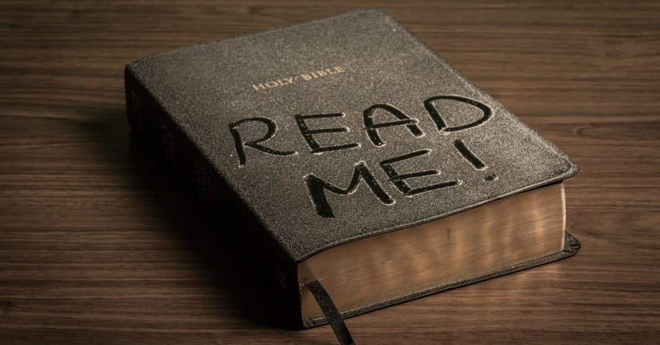 Cover Image for Reading Your Bible: A Daily Encounter with God